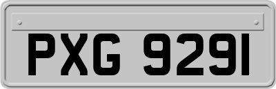 PXG9291