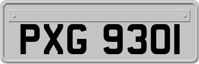 PXG9301