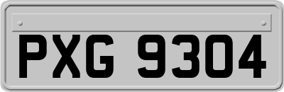 PXG9304