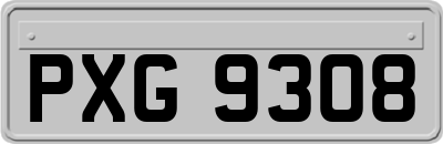 PXG9308