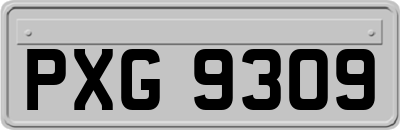 PXG9309