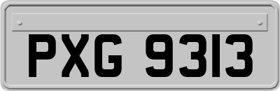 PXG9313