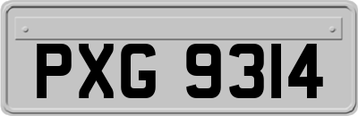 PXG9314