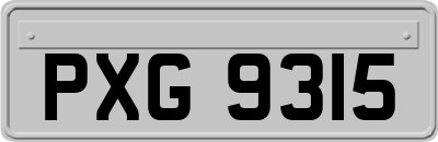 PXG9315