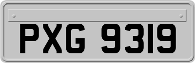 PXG9319