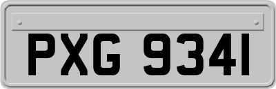 PXG9341