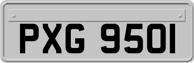 PXG9501