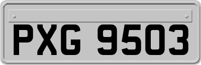 PXG9503