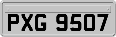 PXG9507