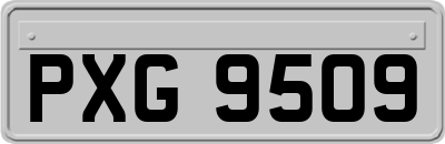 PXG9509