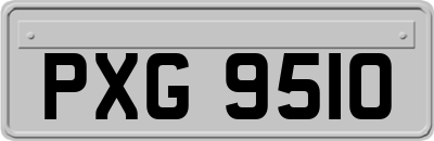 PXG9510