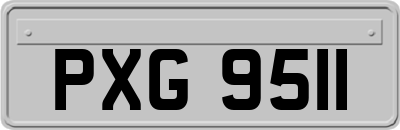 PXG9511