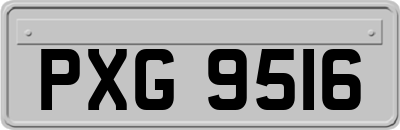 PXG9516