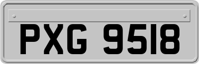 PXG9518