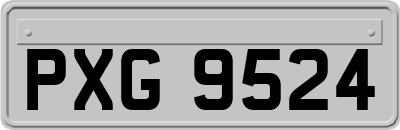 PXG9524