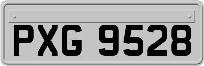 PXG9528