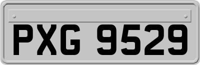 PXG9529