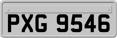 PXG9546