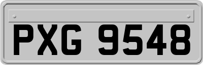 PXG9548