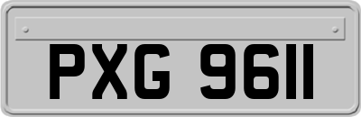 PXG9611