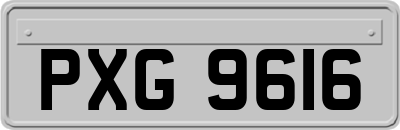 PXG9616