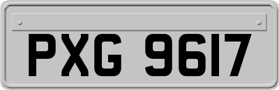 PXG9617