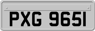 PXG9651