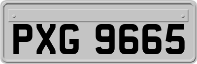 PXG9665