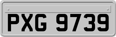 PXG9739