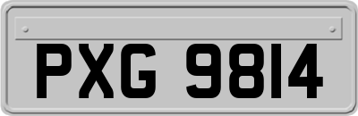 PXG9814