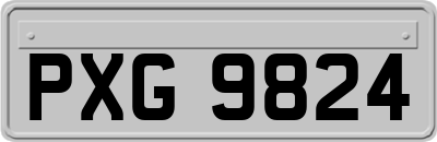 PXG9824