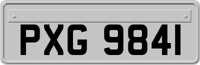 PXG9841