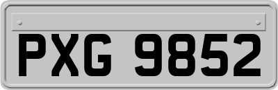 PXG9852