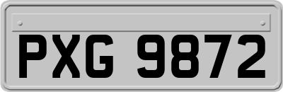 PXG9872