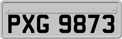 PXG9873