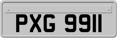 PXG9911