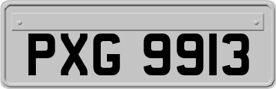 PXG9913