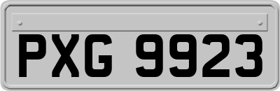 PXG9923