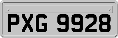 PXG9928