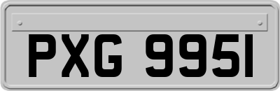 PXG9951