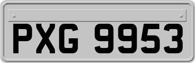 PXG9953