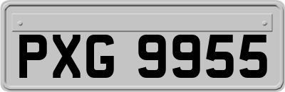 PXG9955