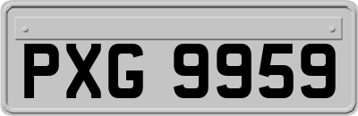 PXG9959