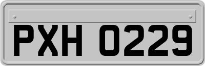 PXH0229