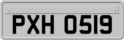 PXH0519