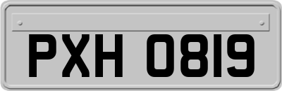 PXH0819