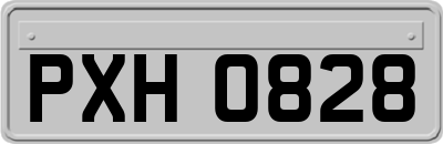 PXH0828