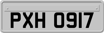 PXH0917