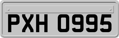 PXH0995