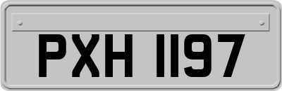 PXH1197